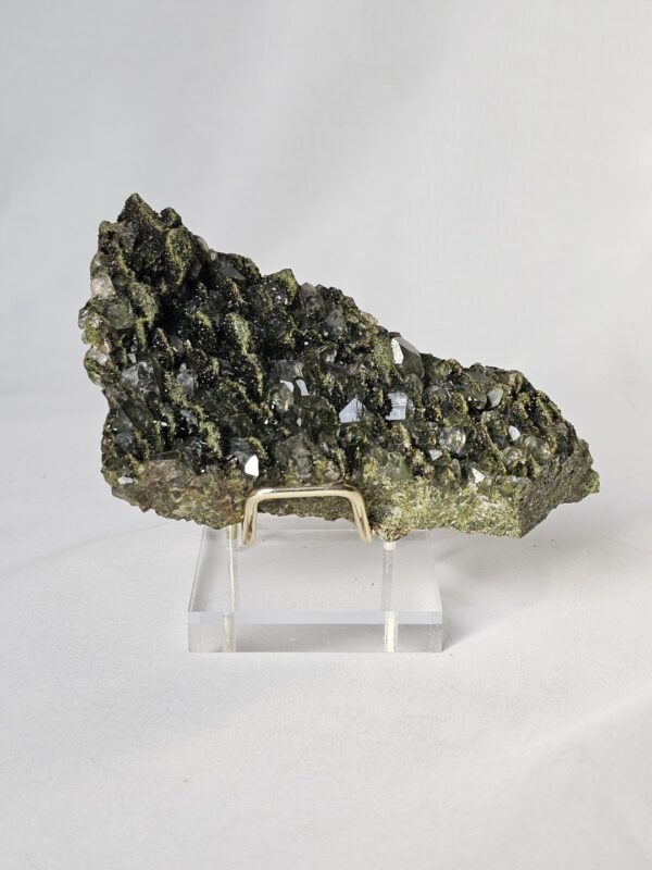 Forest Epidote NR:63 - Afbeelding 4