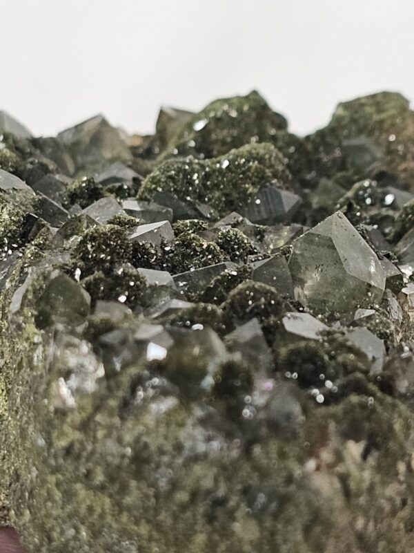 Forest Epidote NR:63 - Afbeelding 2