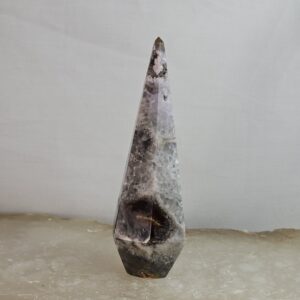 Agaat toren C124 - Afbeelding 3
